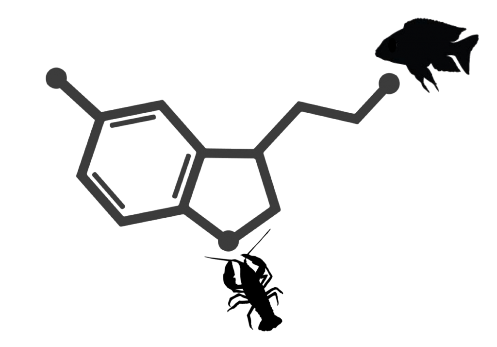 serotonin molecular with fish and crayfish