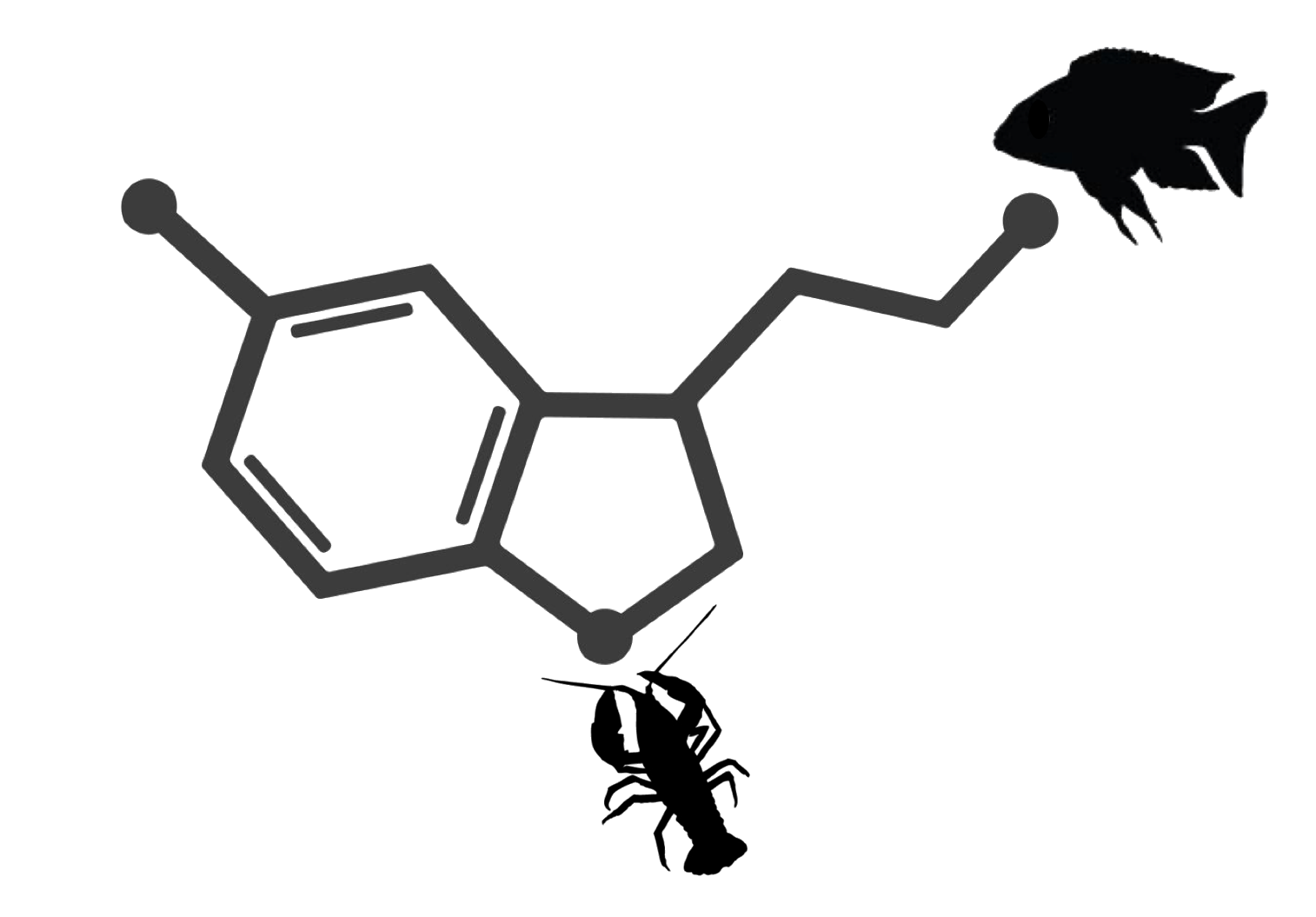 serotonin molecular with fish and crayfish
